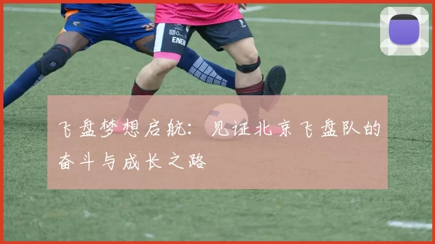 飞盘梦想启航：见证北京飞盘队的奋斗与成长之路