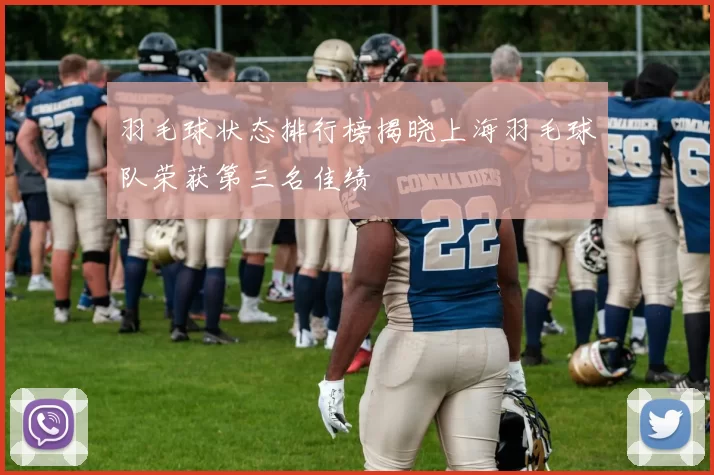 羽毛球状态排行榜揭晓上海羽毛球队荣获第三名佳绩