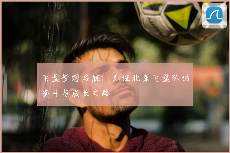 飞盘梦想启航：见证北京飞盘队的奋斗与成长之路