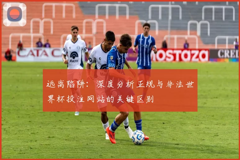 远离陷阱：深度分析正规与非法世界杯投注网站的关键区别