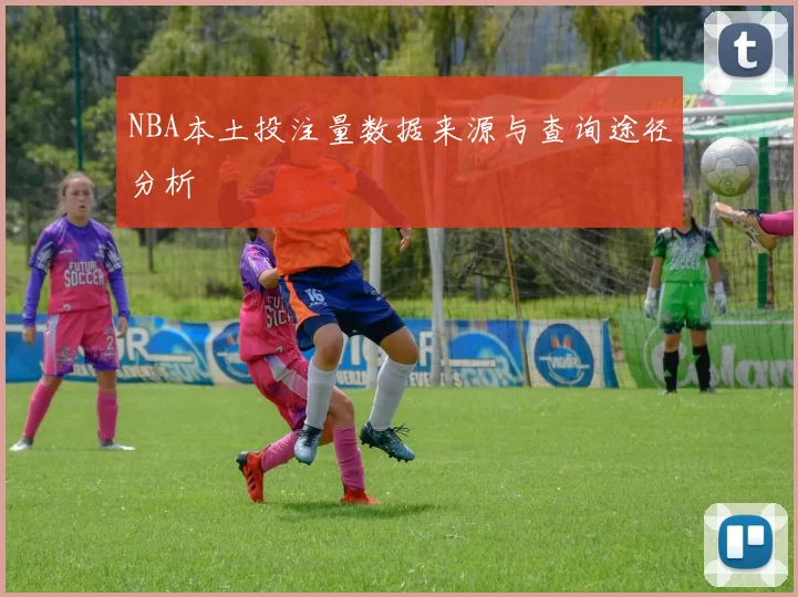 NBA本土投注量数据来源与查询途径分析