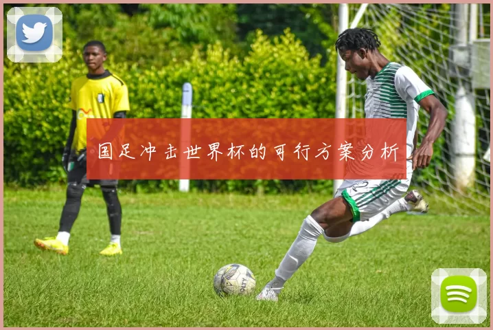 国足冲击世界杯的可行方案分析