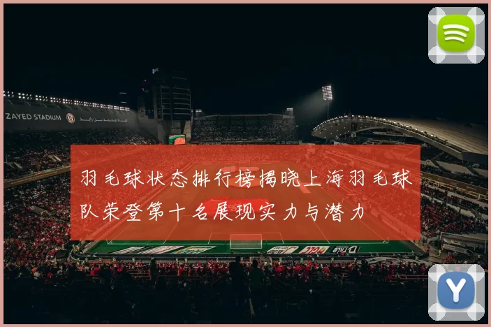羽毛球状态排行榜揭晓上海羽毛球队荣登第十名展现实力与潜力