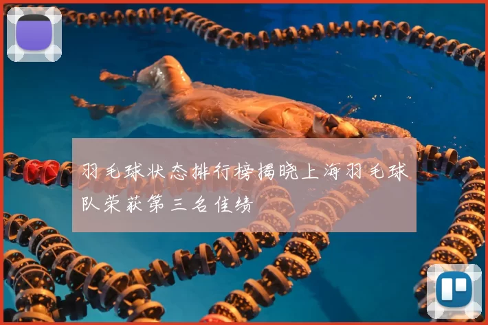 羽毛球状态排行榜揭晓上海羽毛球队荣获第三名佳绩